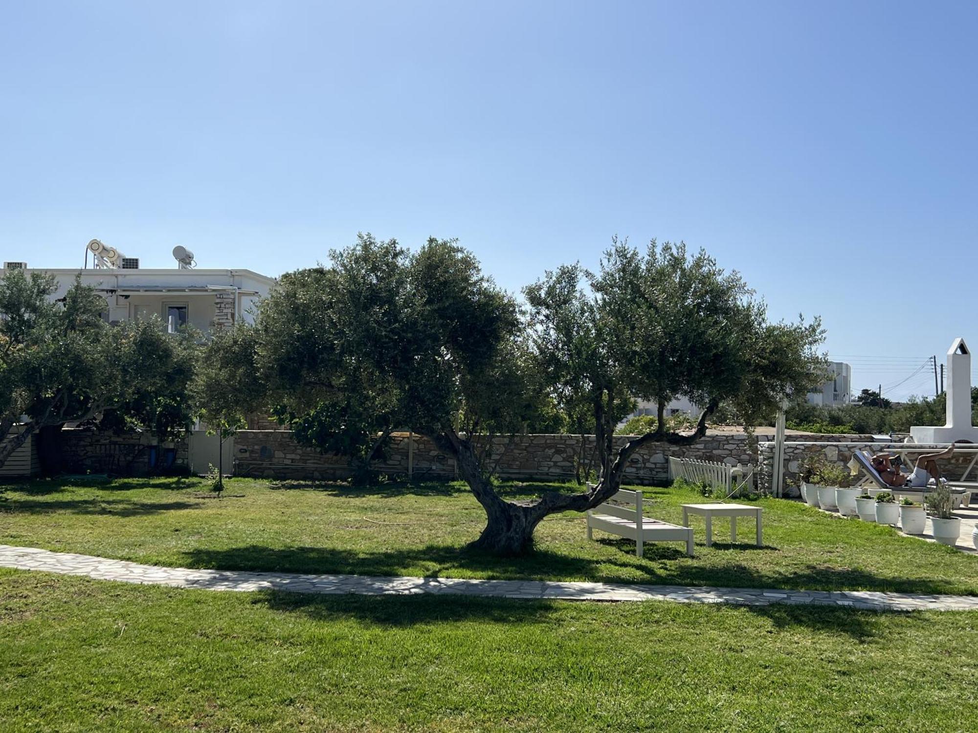 Hotel Anezina Drios Exterior photo